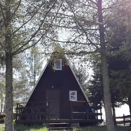 Wiezyca